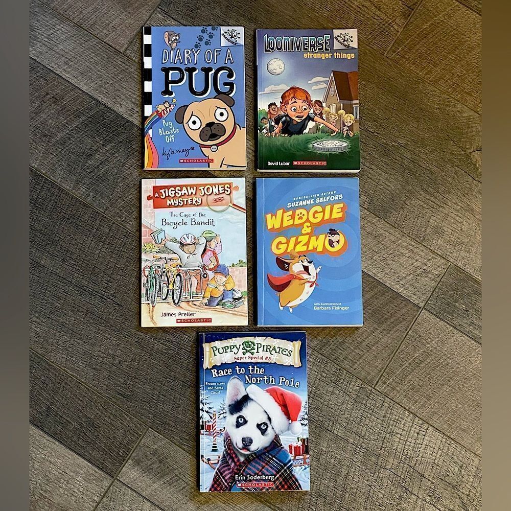 5-Book Bundle of 1st-3rd Grade Level Fiction Chapter Books. In Perfect Condition